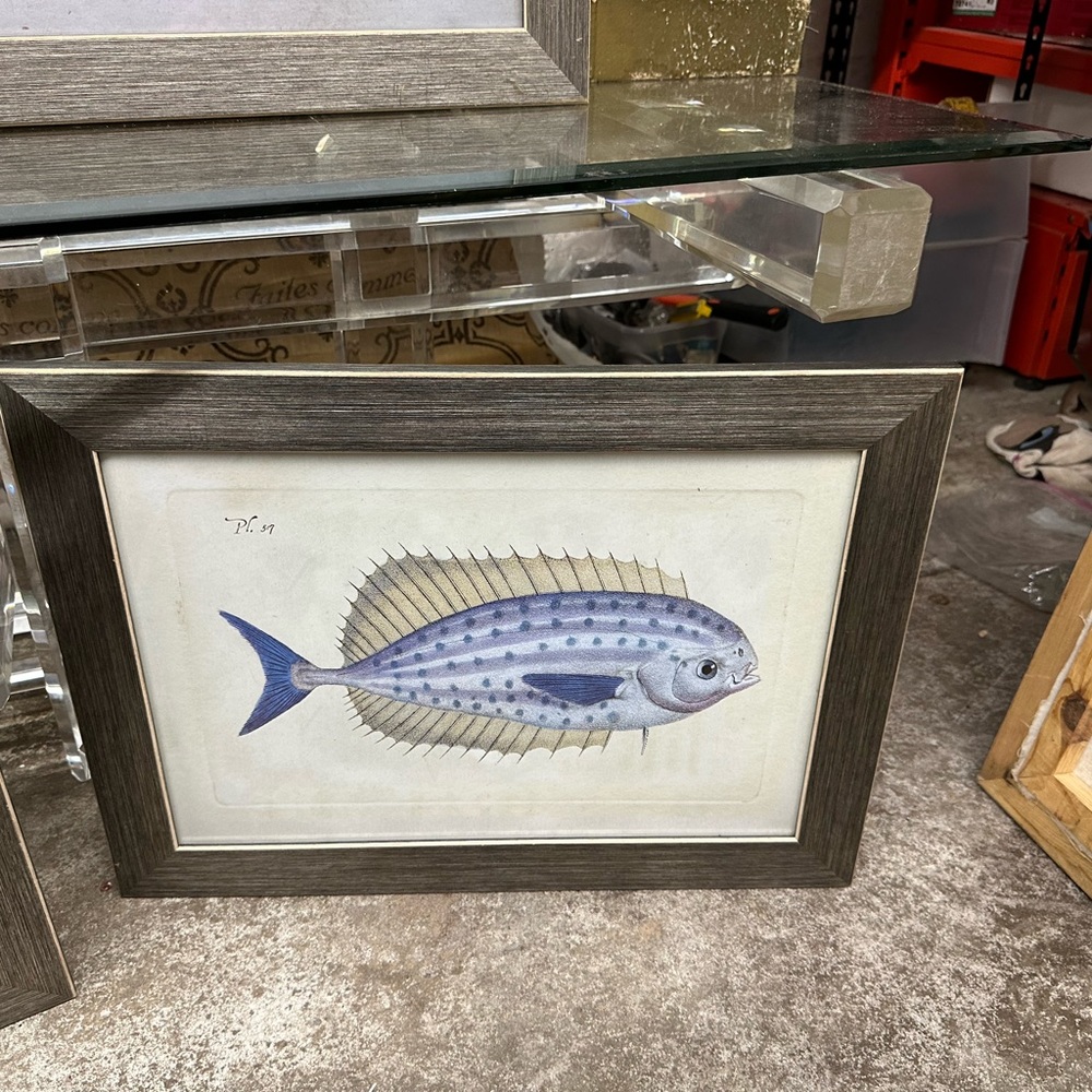 Fish 🐠 art - Picture 4 of 11